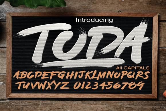 Toda Review: A Designer’s Take on Script Amp’s Bold Script